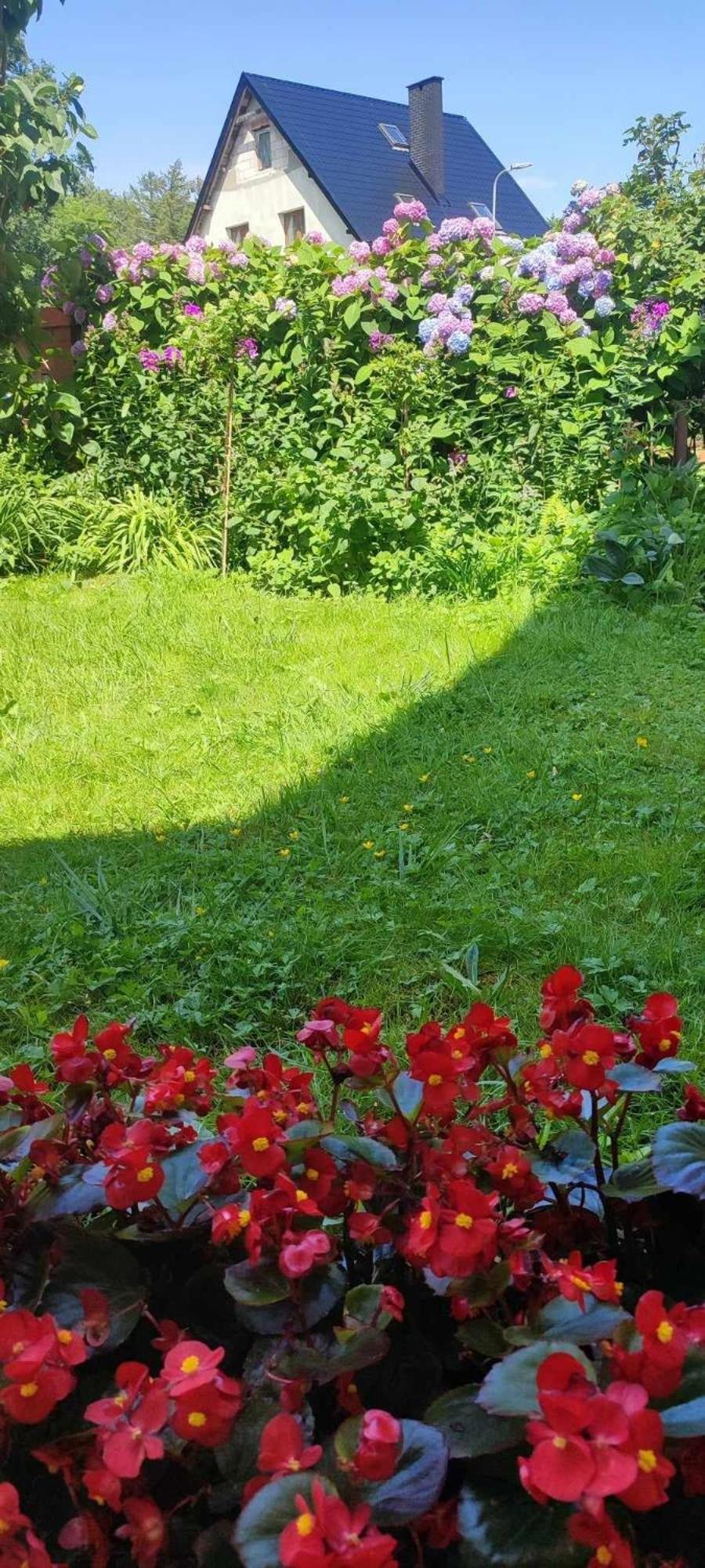 Pokoje Gościnne Anna Ustka Zewnętrze zdjęcie